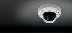 AXIS M3006-V