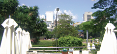 Esporte Clube Pinheiros