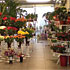 Blumen B&B