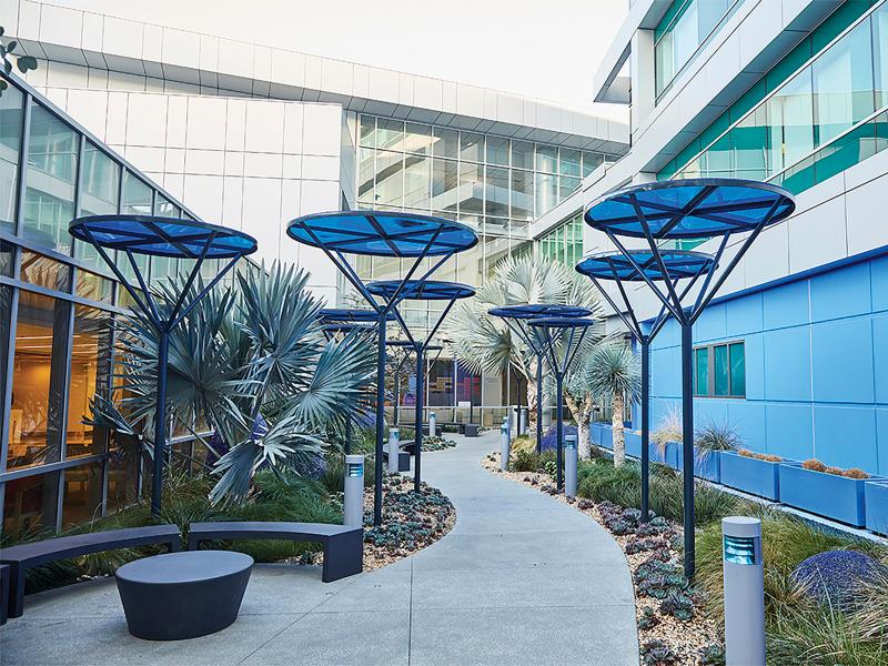 Path surrounded by blue decorations and palm trees, between glass buildings.