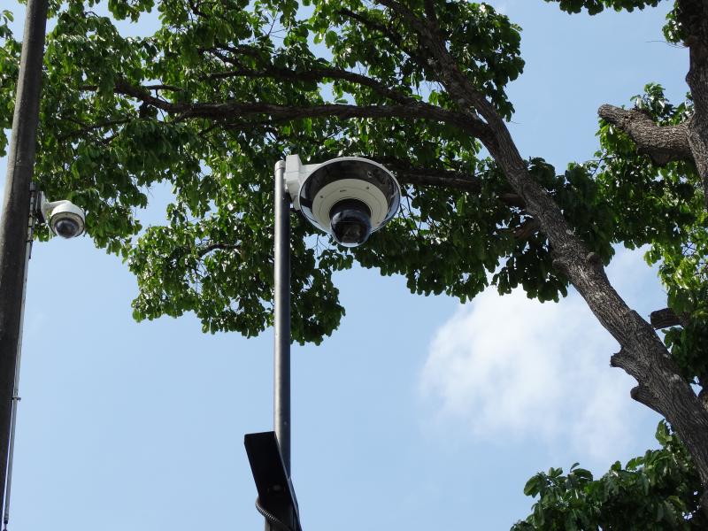 Pole camera under trees
