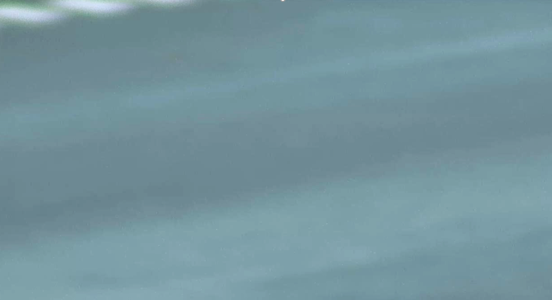 focus_hunting.png