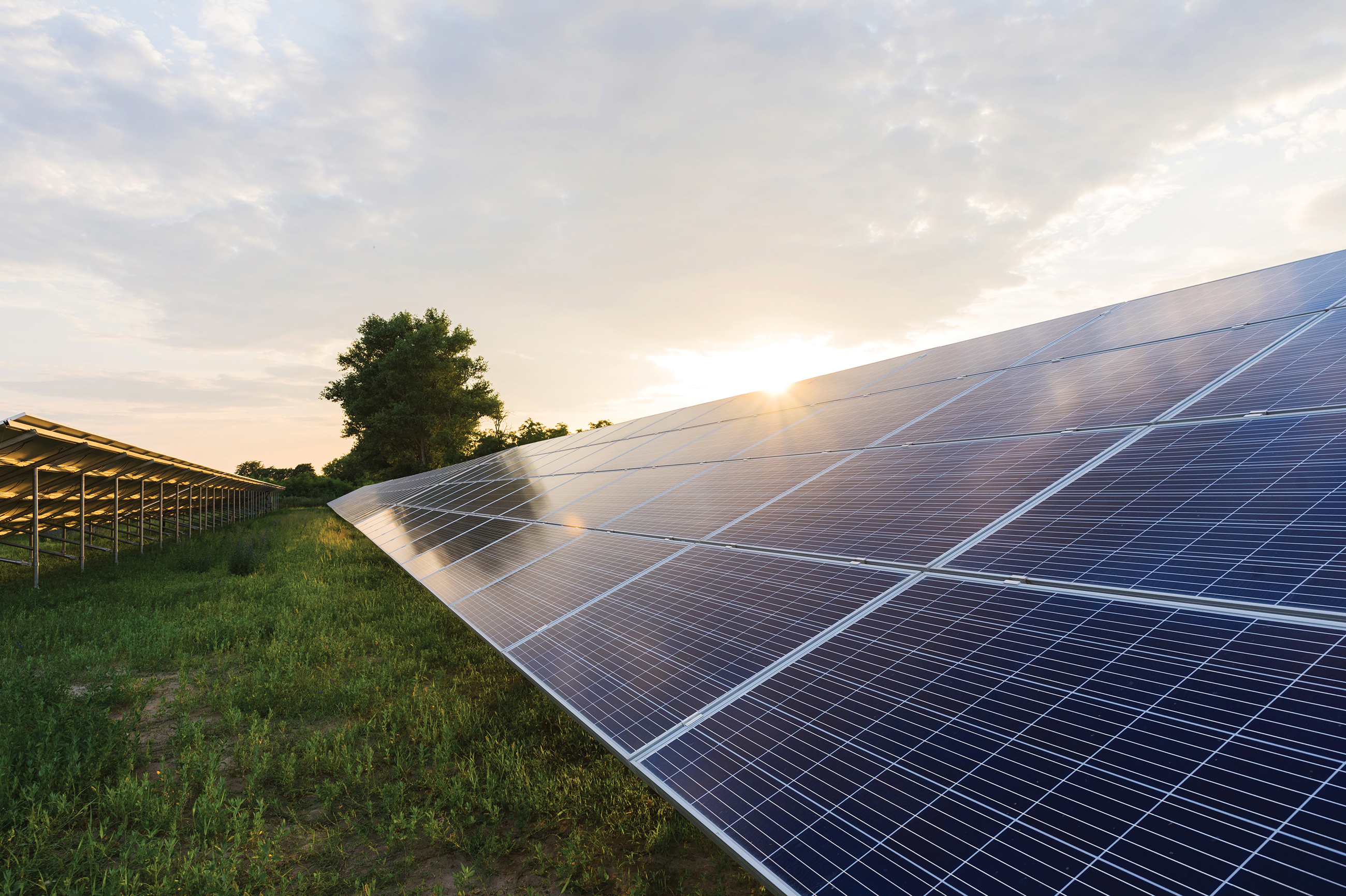 Cameras protect a solar power plant. | Axis Communications