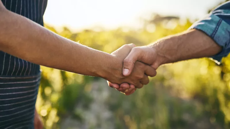 Handshake man and woman