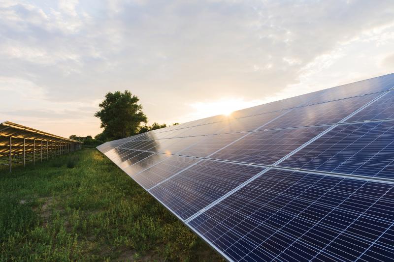 Solar panels on grass, low sun in background.