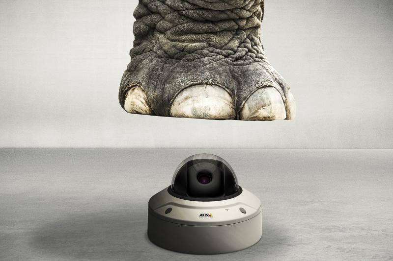 elephant_foot_camera_2600x1732.jpg