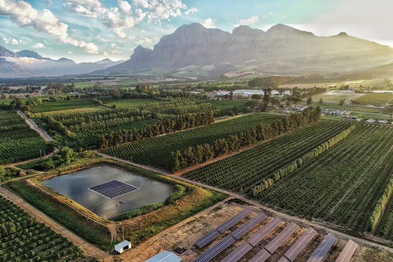 Marlenique Estate from above with green surroundings and mountains in background