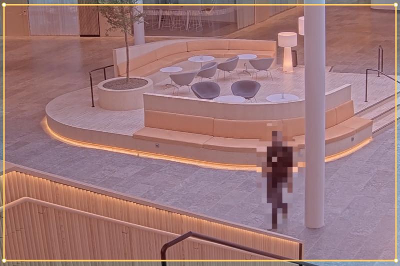AXIS Live Privacy Shield with AXIS Video Motion Detection