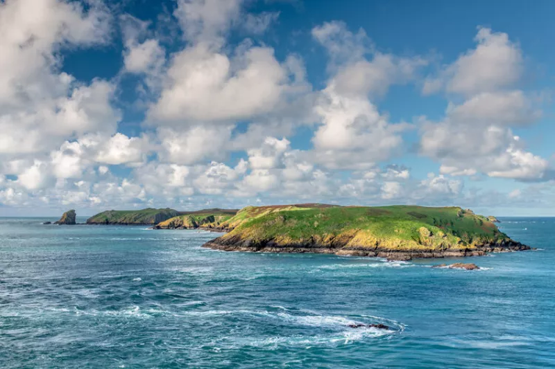 Skomer Island