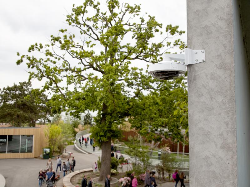 Axis outdoor surveillance camera at pet zoo, mounted to wall.