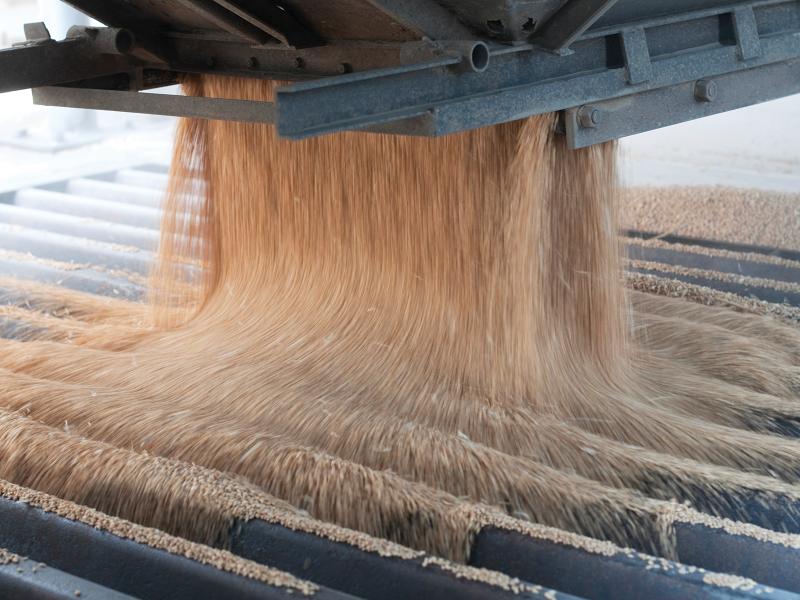 harvester wheat agriculture machine