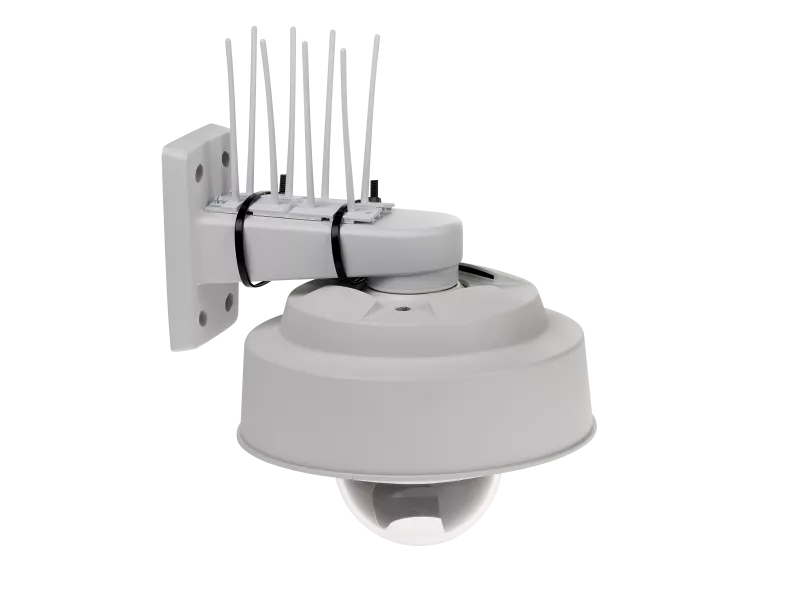 bird control with fixed dome camera