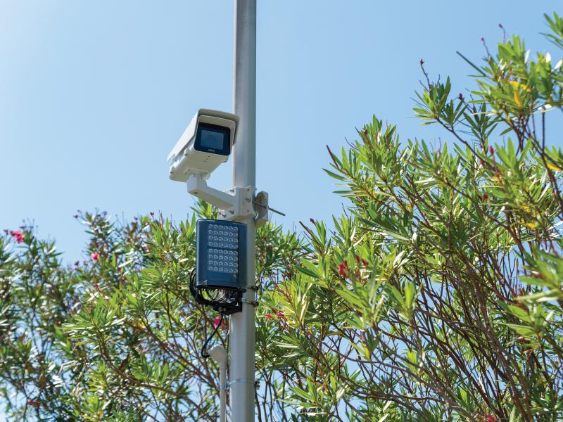 Axis P1365-E Mk II placed on a pole with blue sky and trees in background.