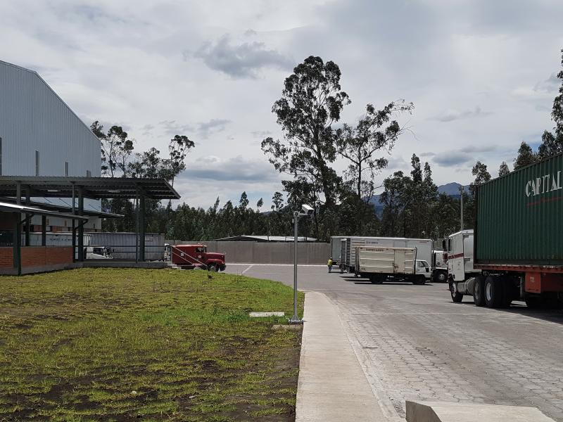 Parking lot with green truck viewed from its left side.