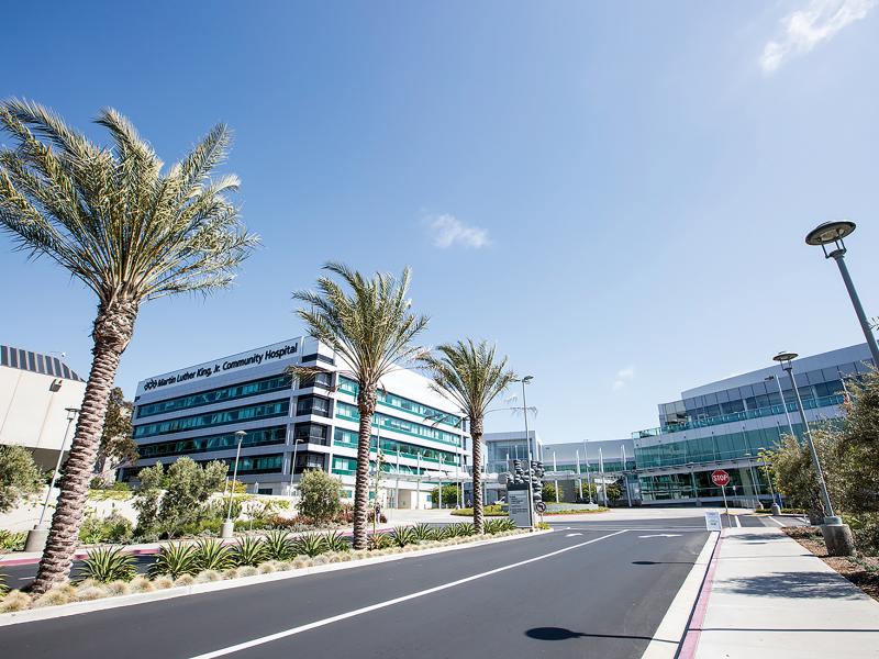 Exterior of Martin Luther King JR. Community Hospital, road and palm trees in front.