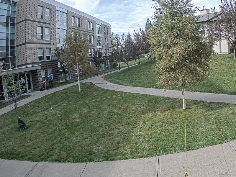 Brown building with grass and trees in front.