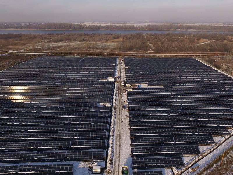 Solar panel filed viewed from above.