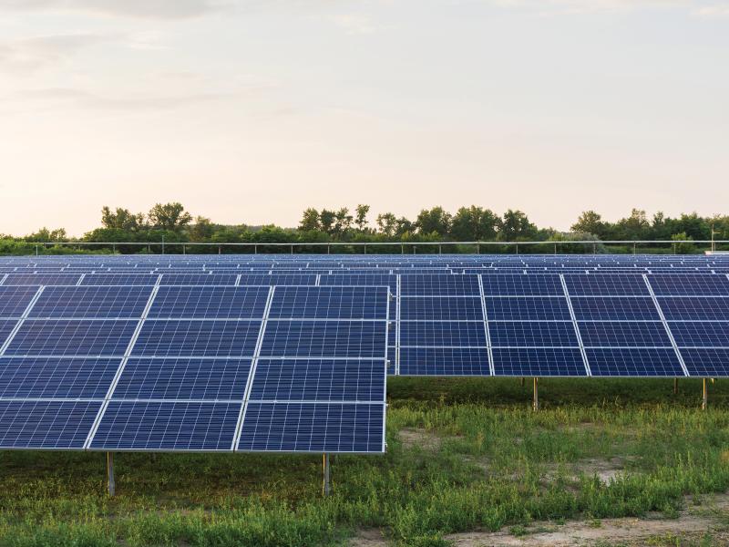 Solar panels on grass, viewed in front.