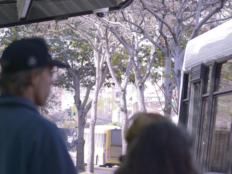 Two people at bus stop viewed from behind with trees in background.