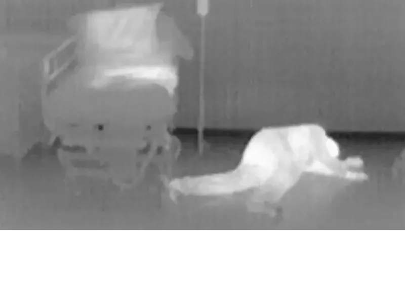 thermal imaging functionality being shown, in black and white colors