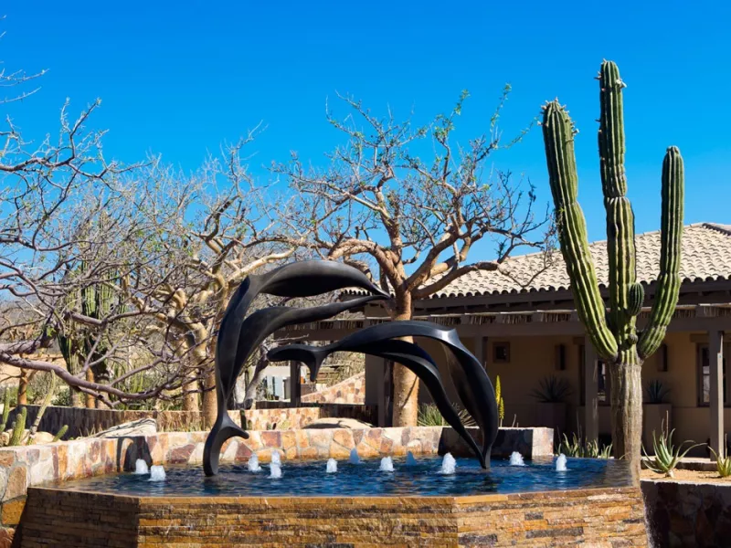 Shot of dolphin statue on Twin Dolphin property with cactus 