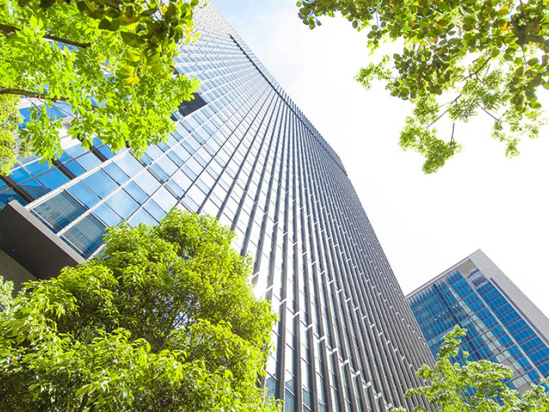 glass buildings with trees