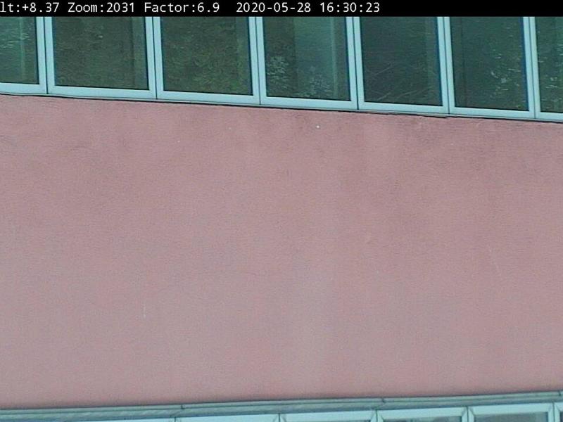 Pink building with windows. 