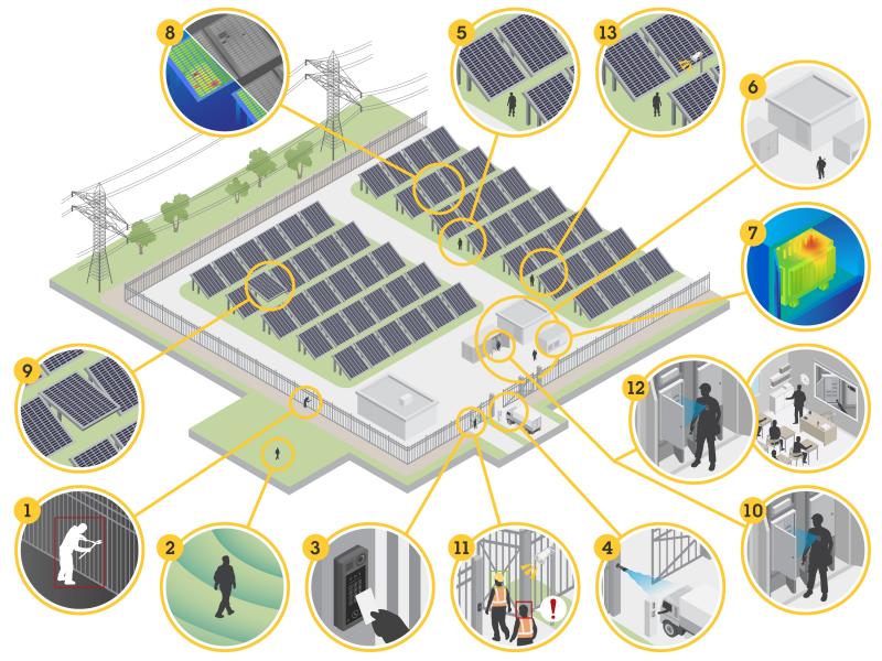 solar plant 01 white