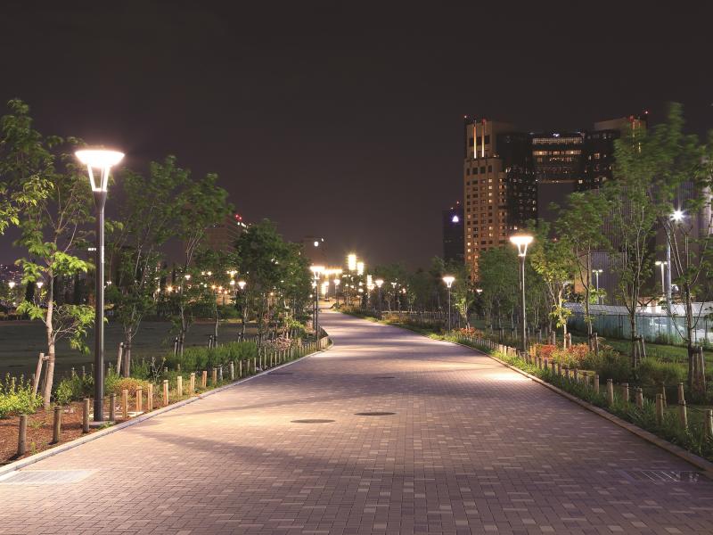 Walkway in a park during night. Pathway is lit by lamp posts.