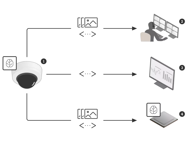 illustration metadata consumers