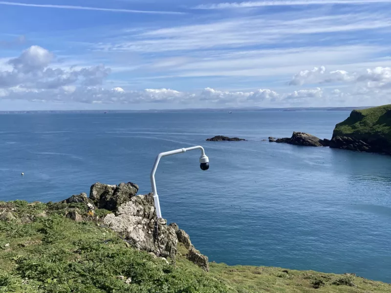 Axis camera on Skomer Island