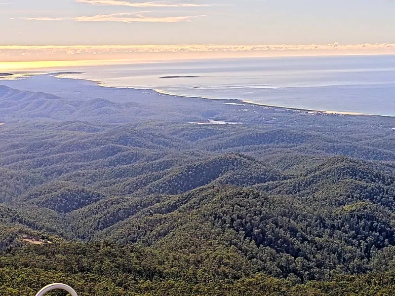 Landscape view over a forest during sunset