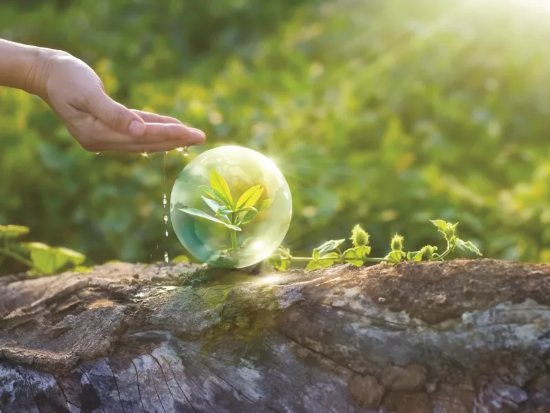 watering hand, sustainbility