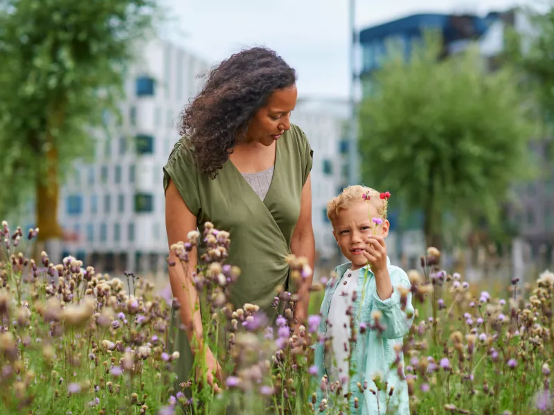 United nations 17 sustainable development goals (sdg)