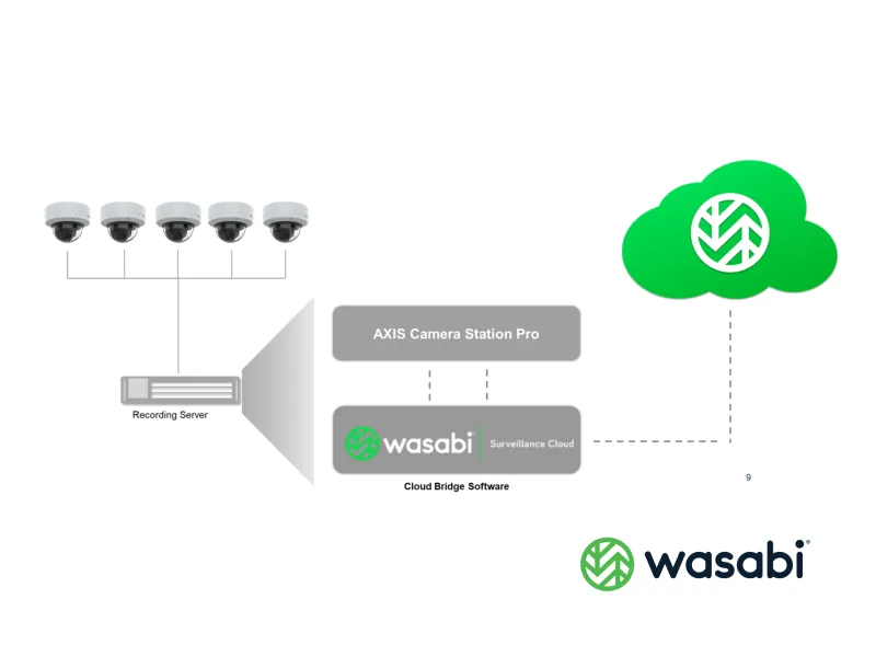 Wasabi cloud store