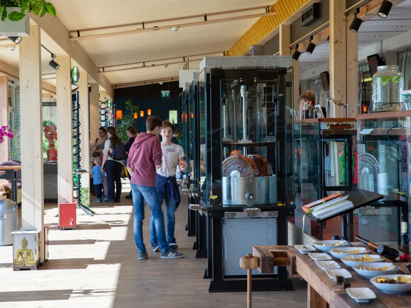 Modern, well-lit café interior with wooden and metal elements. Display cases show various items. Two individuals converse near the center, while others socialize in the background. Plants add greenery, creating a relaxed, inviting atmosphere.