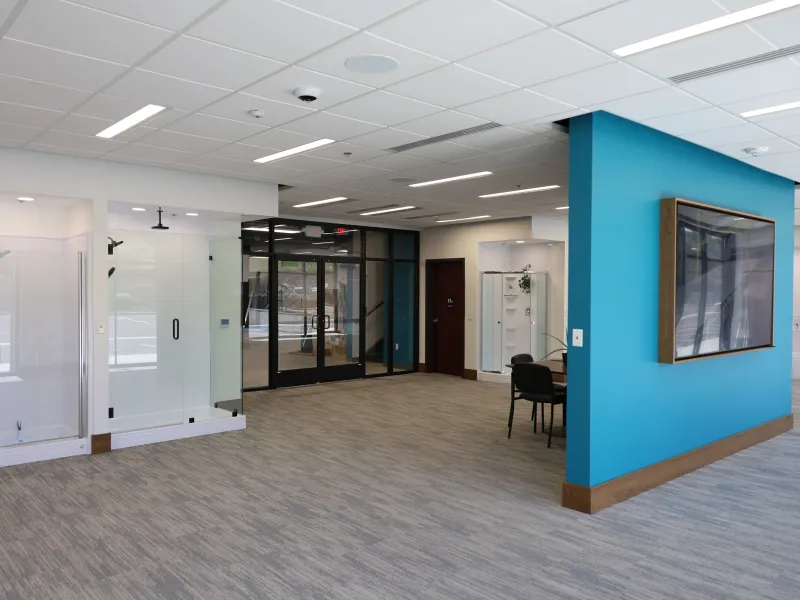 A modern office interior featuring a bright blue accent wall and grey carpeting.