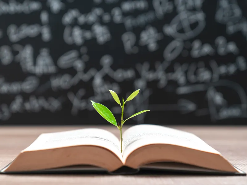 Knowledge base