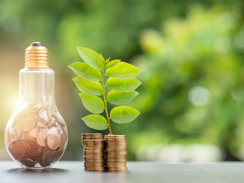 Coins and plant on a table in front of trees 