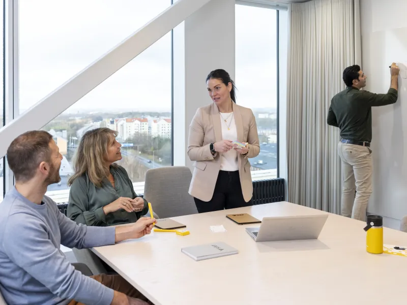 Axis colleagues having a meeting in a bright conference room.