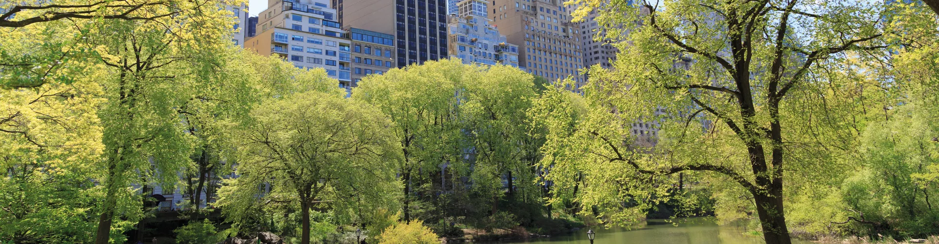 City park with people