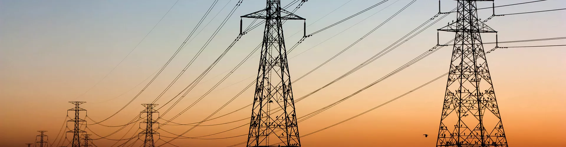 Electrical towers with cables in a sunset haze