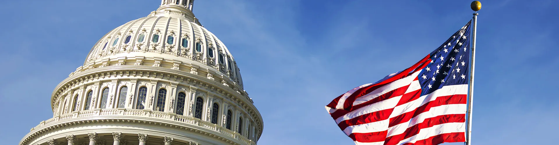 dome shaped building and american flag 
