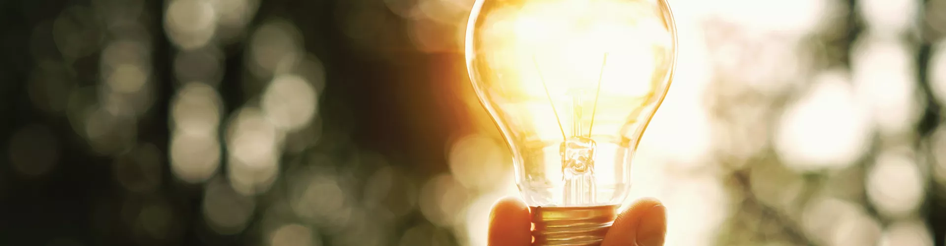 hand holding a lightbulb in an outdoor environment