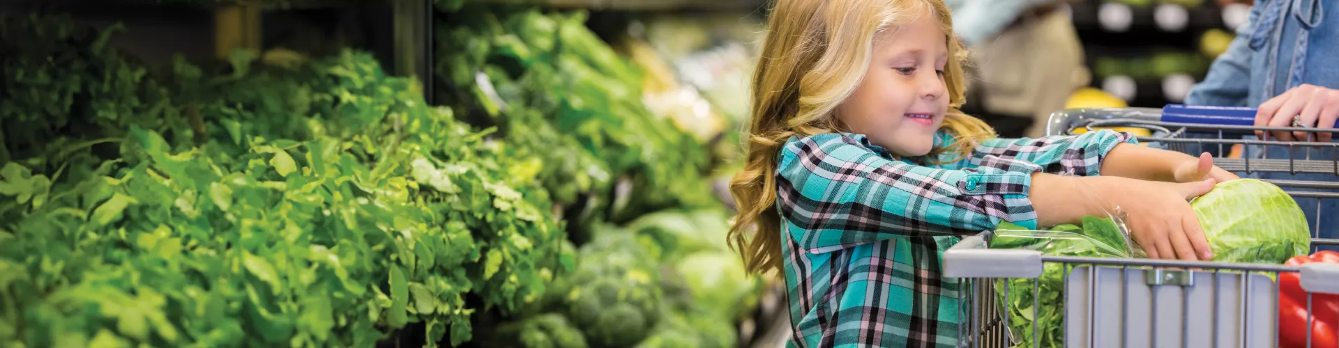 retail grocery