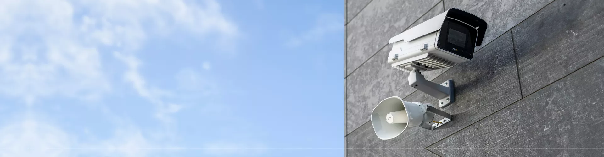 audio solution network hornet speaker