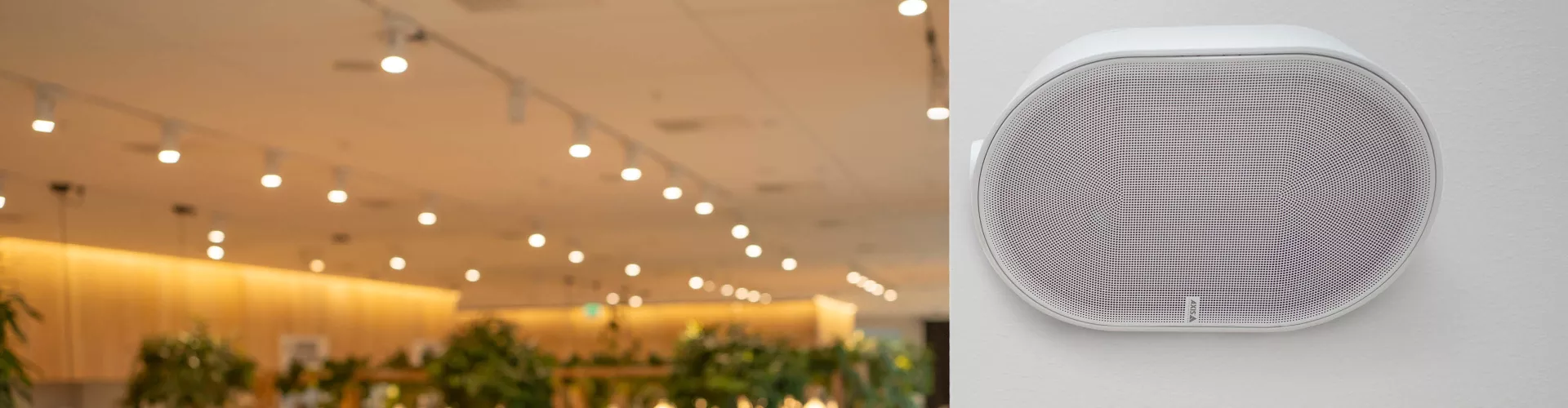 Network Cabinet speaker