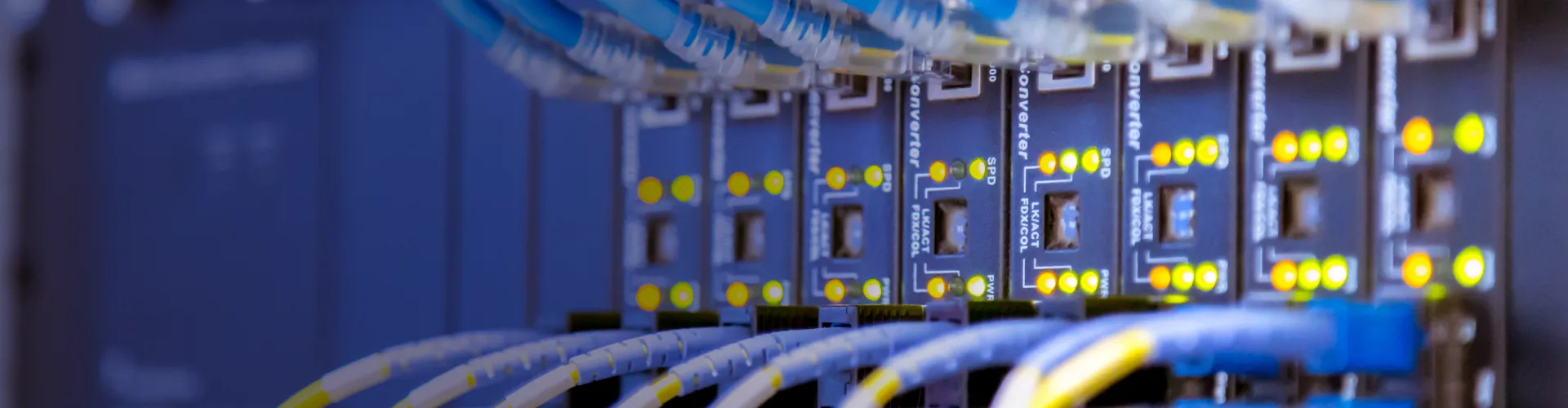 A close up of a server rack with several blue and yellow cables.