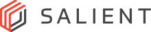 Salient Systems logo