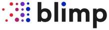 Blimp logo